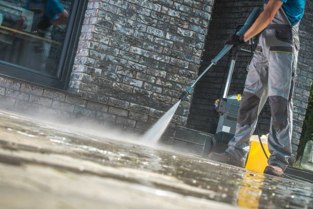 Best Gutter Cleaning  in Saltillo, MS