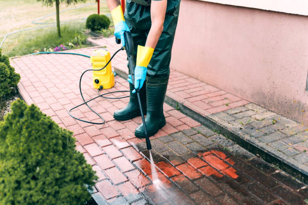 Best Roof Washing  in Saltillo, MS